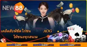 AOG ไก่ชน ถ่ายทอดสดคมชัด ลุ้นทุกแมตช์กับ NEW88