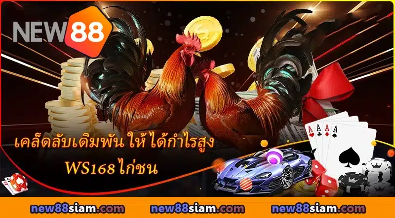 WS168 ไก่ชน บรรยากาศสนามจริง ถ่ายทอดตรงจาก NEW88