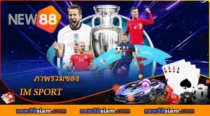 ภาพรวมของ IM บน NEW88