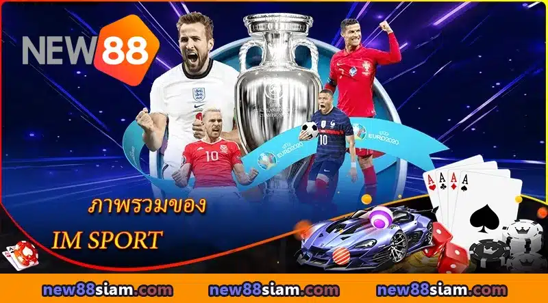 ภาพรวมของ IM บน NEW88