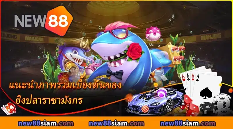 ภาพรวมพื้นฐานของเกมยิงปลามังกรที่ NEW88