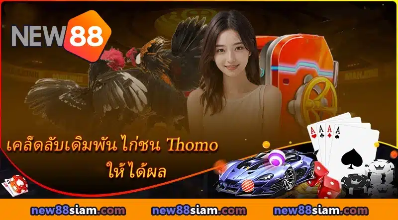 ศึกดุเดือด ไก่ชน Thomo ถ่ายทอดสดทุกแมตช์บน NEW88