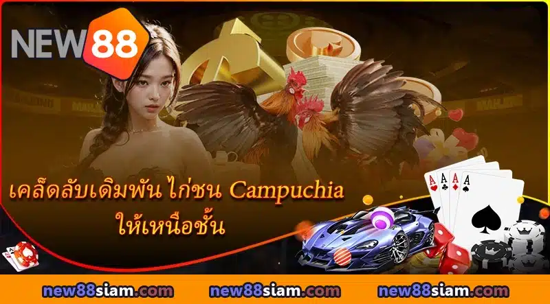 เดิมพันไก่ชนอย่างมั่นใจ บนแพลตฟอร์มออนไลน์ NEW88 โปร่งใสทุกแมตช์
