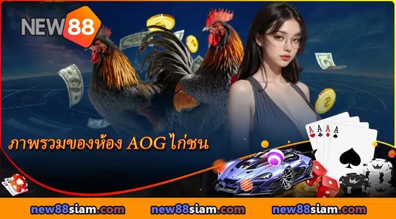 เปิดประสบการณ์เดิมพัน AOG ไก่ชน สุดเร้าใจ อัตราจ่ายสูง